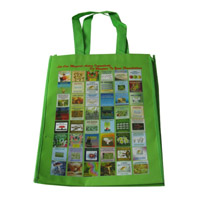 河南LB11覆膜无纺布广告袋